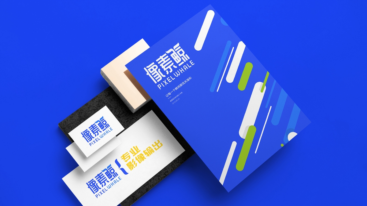 像素鲸艺术微喷品牌LOGO设计｜工作室打印LOGO VI设计