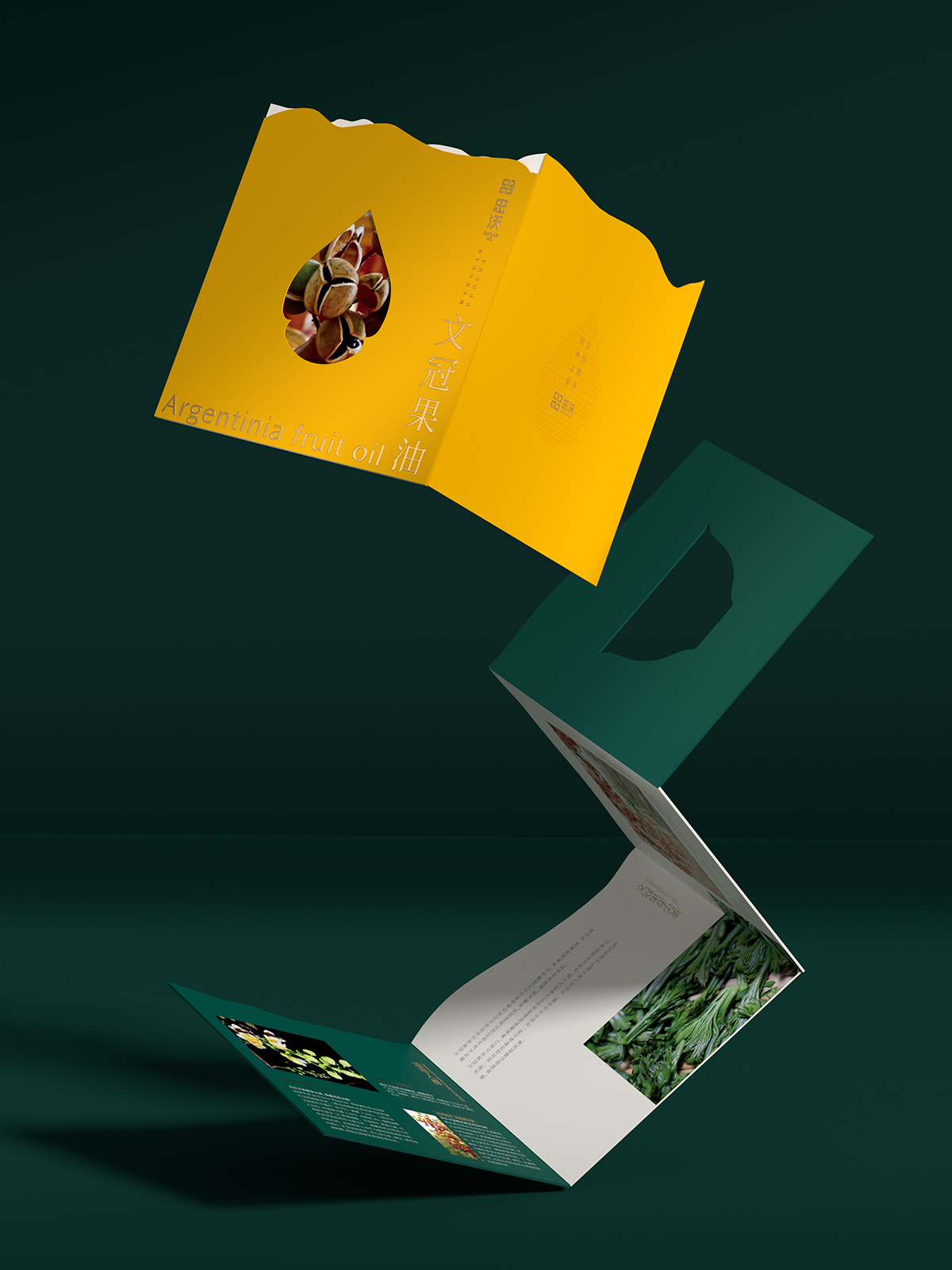 大健康品牌设计 系列产品包装设计 文冠果茶礼盒包装设计 文冠果油礼盒包装设计