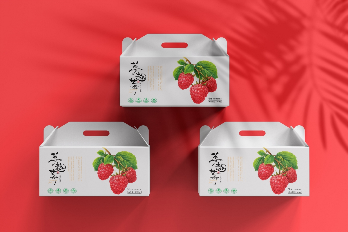 新疆特产水果系列包装设计