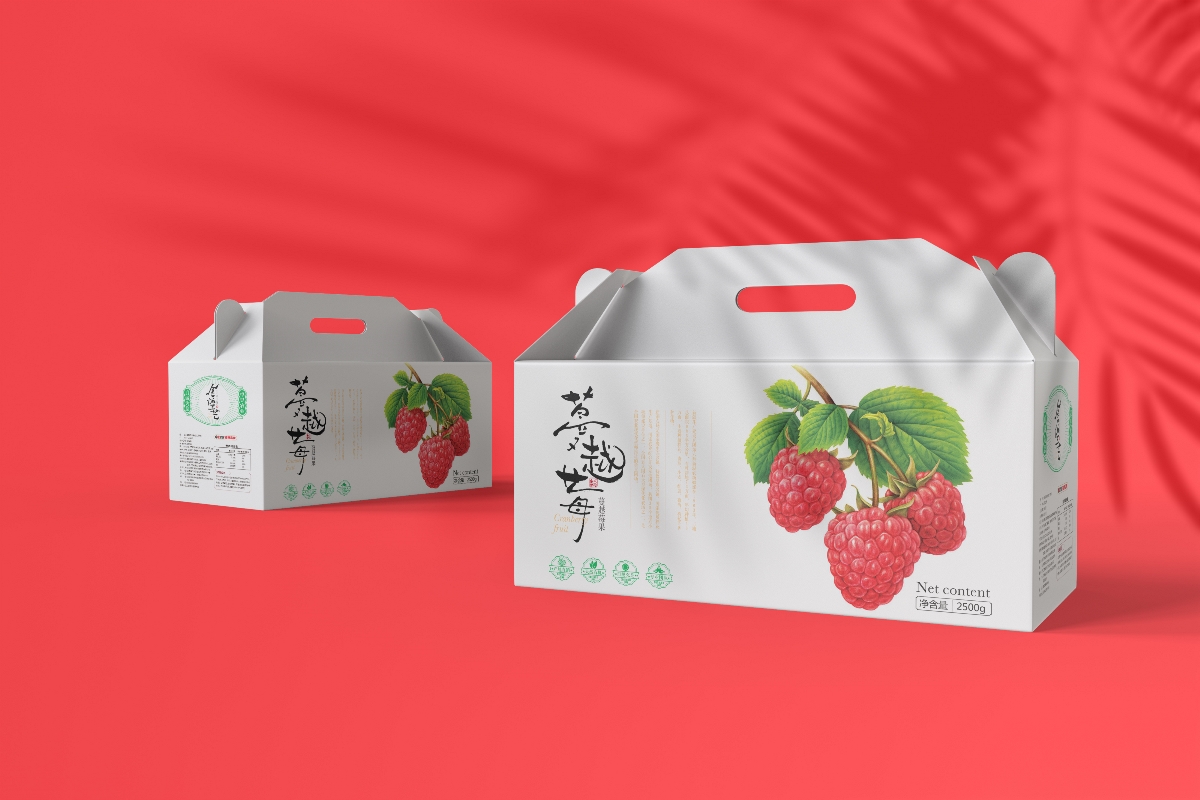 新疆特产水果系列包装设计