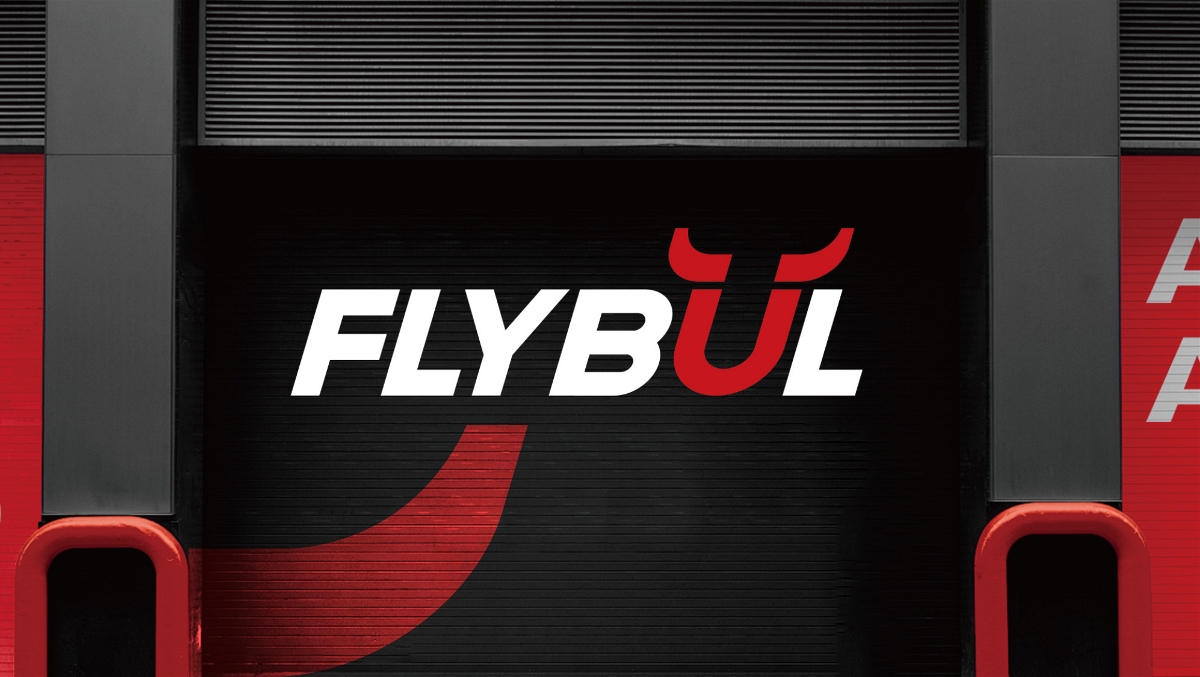 FLYBUL标志形象设计