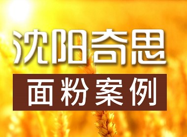 沈陽奇思X面粉行業(yè)案例