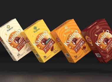 食品品牌包装设计 坚果烧（日式）产品包装设计