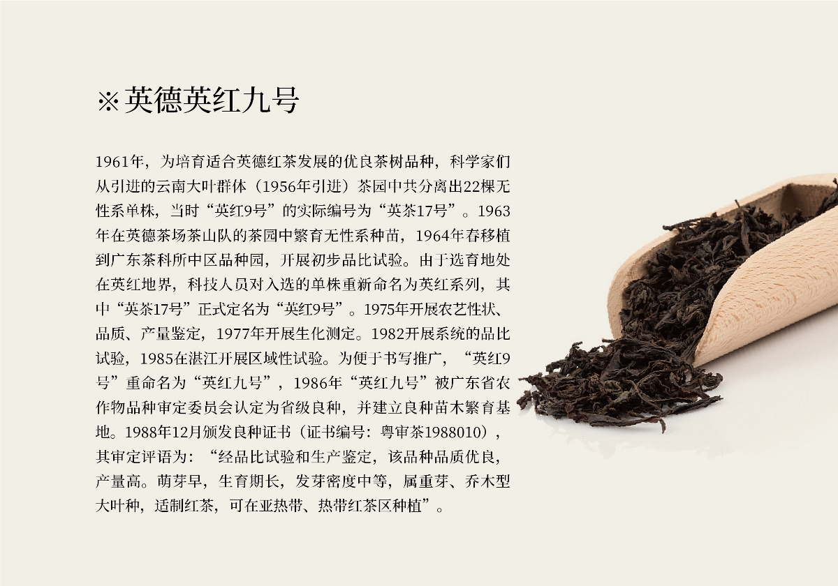 怡品茗英红九号茶叶包装设计