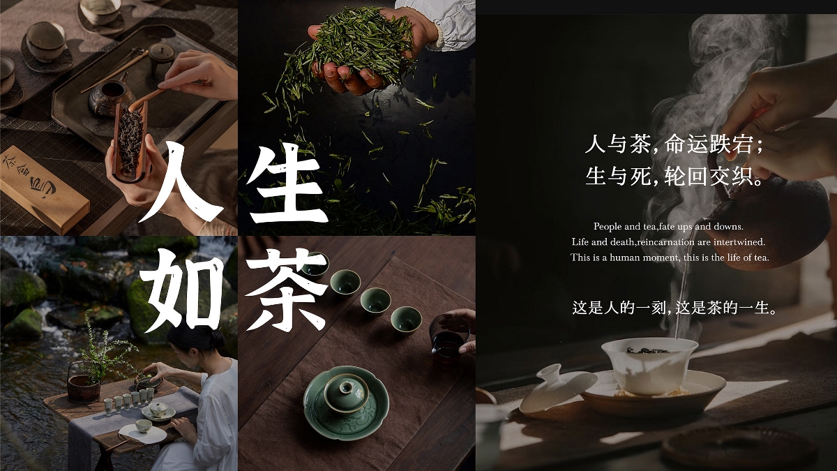 惟楚-沏茶黑茶包装策划设计