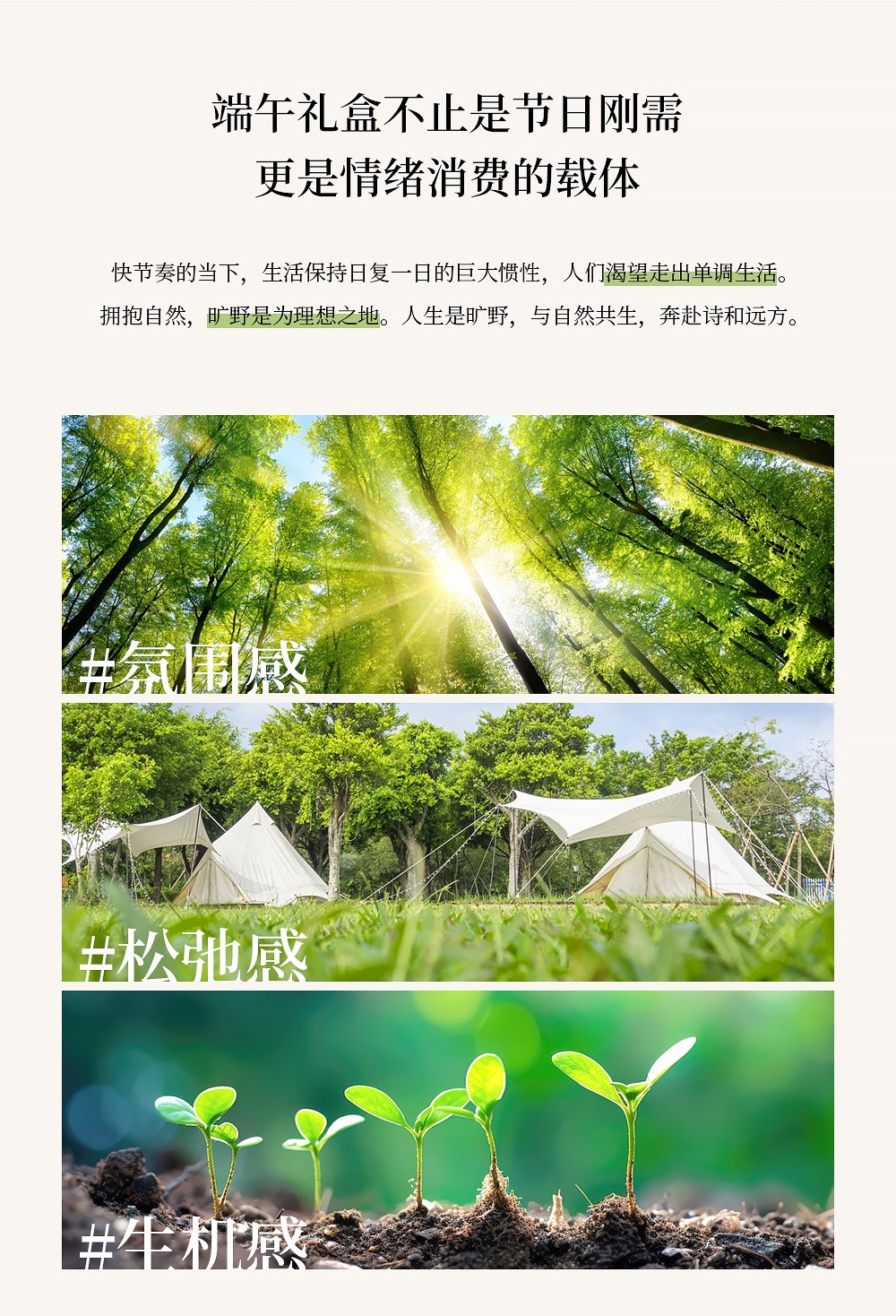 【方森園】自然療愈感端午粽子禮盒包裝《粽夏野》