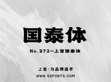 上首国泰体