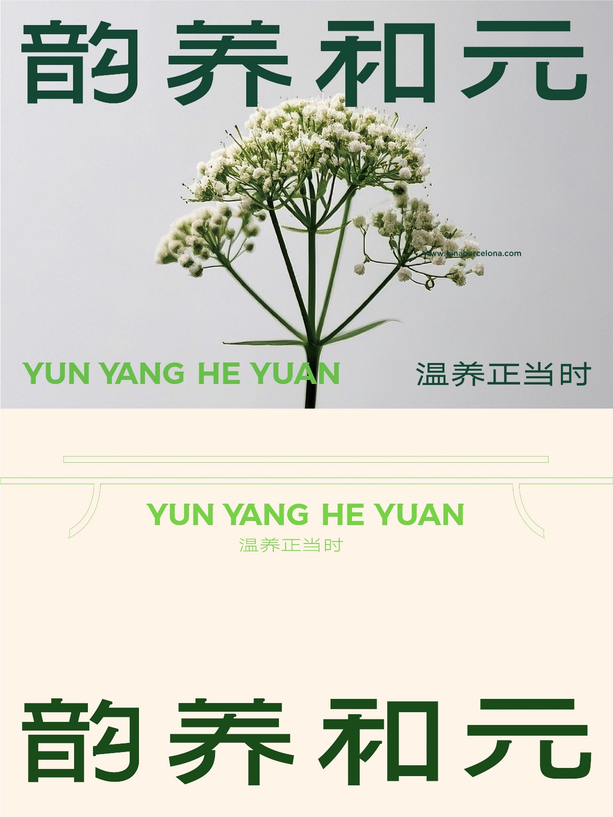 中式養(yǎng)生品牌如何與當(dāng)代消費者對話丨品牌形象設(shè)計