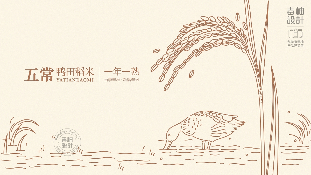 五常大米包裝設(shè)計(jì)|毒柚包裝設(shè)計(jì)
