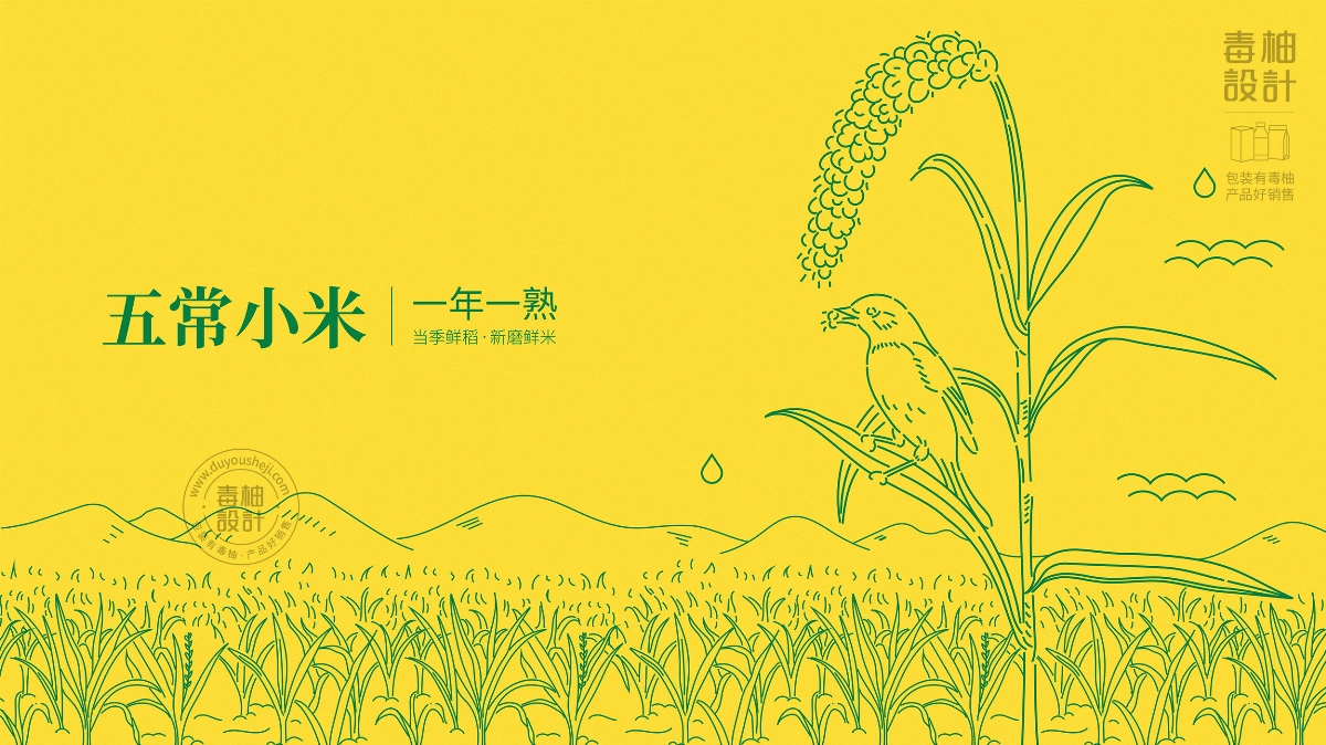 五常大米包裝設(shè)計(jì)|毒柚包裝設(shè)計(jì)