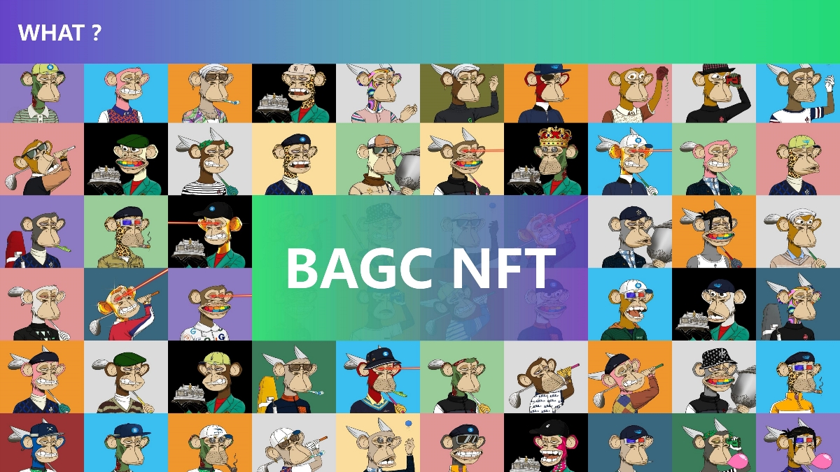 BAGC BUSINESS PLAN
