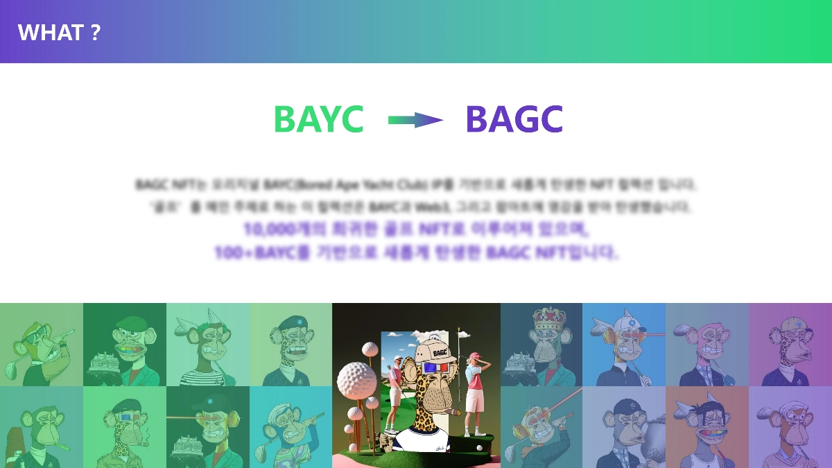 BAGC BUSINESS PLAN
