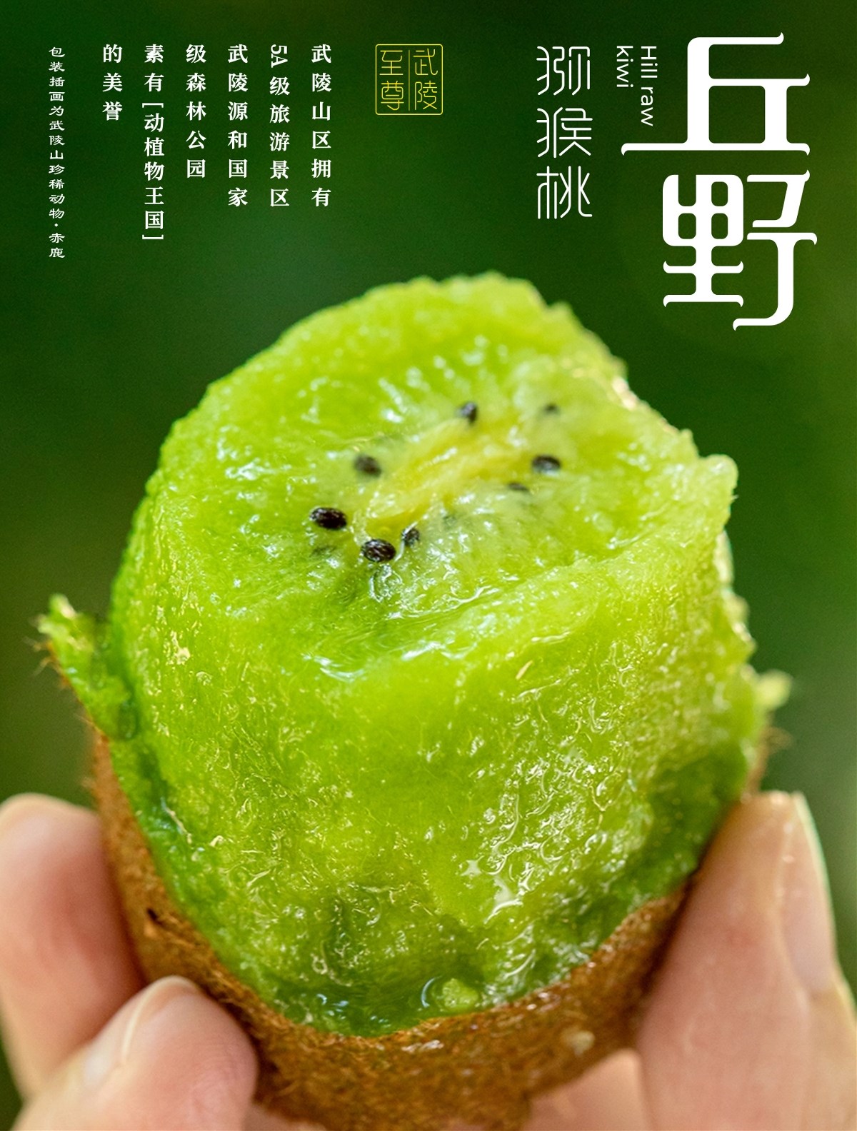 高端獼猴桃包裝設(shè)計