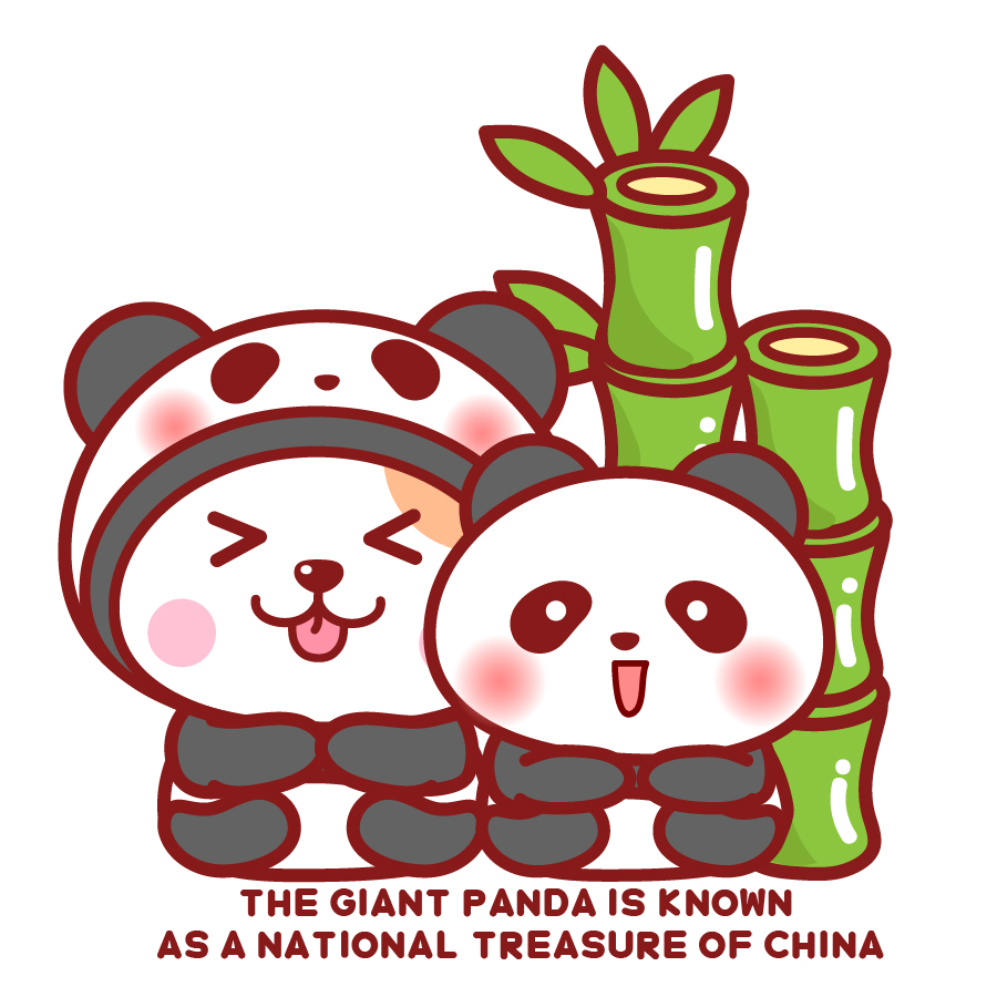 秋田君和熊貓壁紙頭像