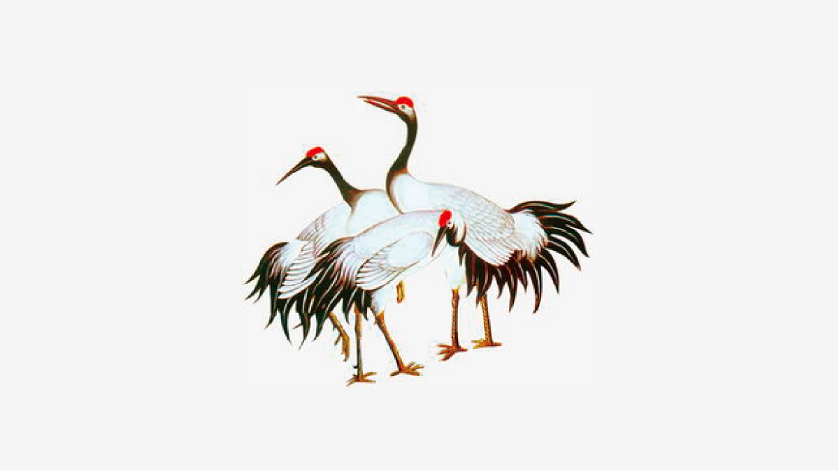 久逢JIUFENG｜包裝設計