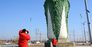 山東聊城現(xiàn)9米高巨型大白菜雕塑