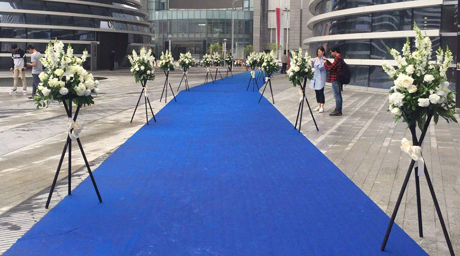 鲜明的简一蓝地毯.gif