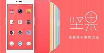 手機品牌“堅果”正式公布新LOGO
