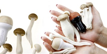 【產(chǎn)品】當(dāng)生活中有了蘑菇.......